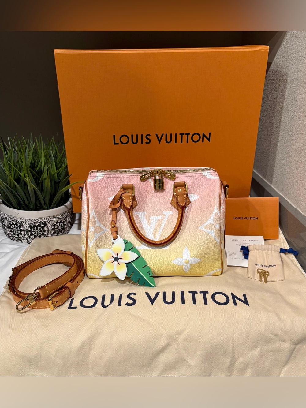 Louis Vuitton Pink-Yellow Ombre Monogram Speedy 25 By The Pool Limited Edition